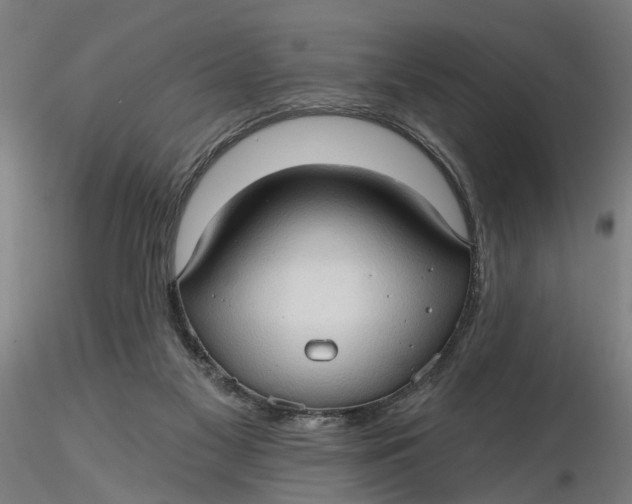 X0000116320117200912221407