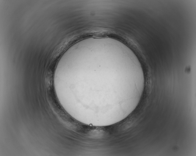 X0000116320119200912221407