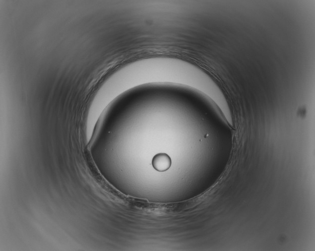 X0000116320120200912221407