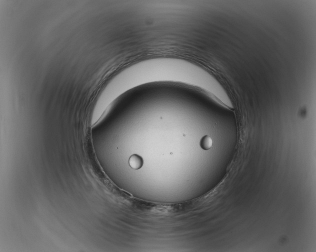 X0000116320124200912221407