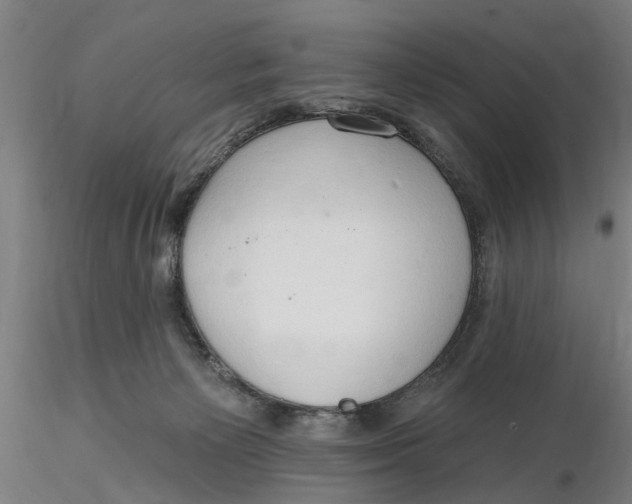 X0000116320125200912221407