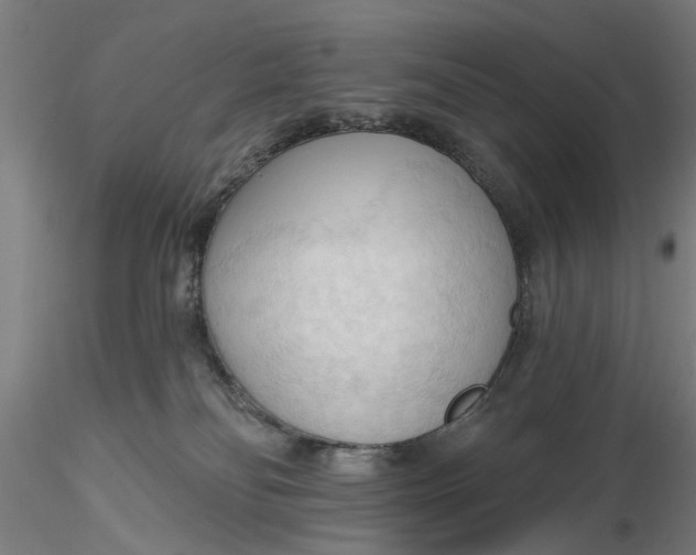 X0000116320134200912221407