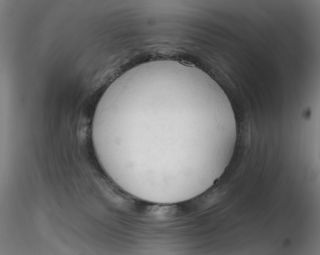 X0000116320135200912221407