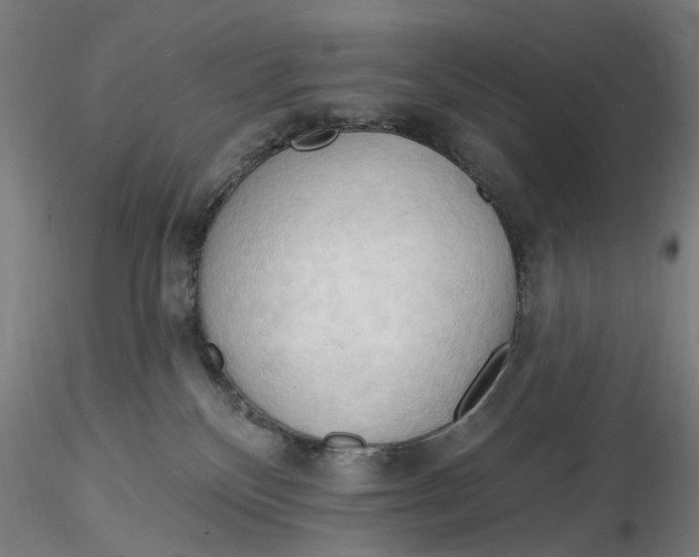 X0000116320136200912221407