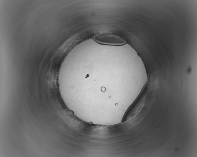 X0000116320140200912221407