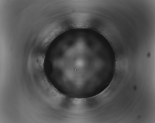 X0000116320142200912221407