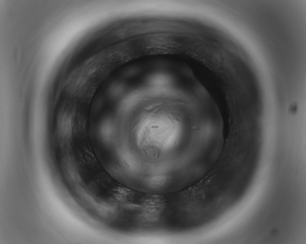 X0000116320143200912221407