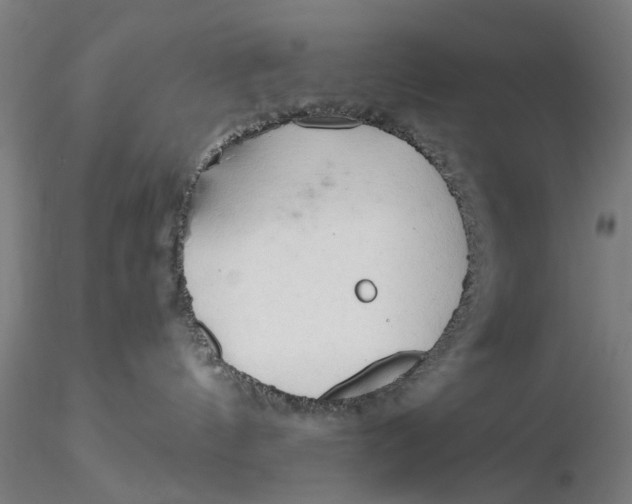 X0000116320144200912221407