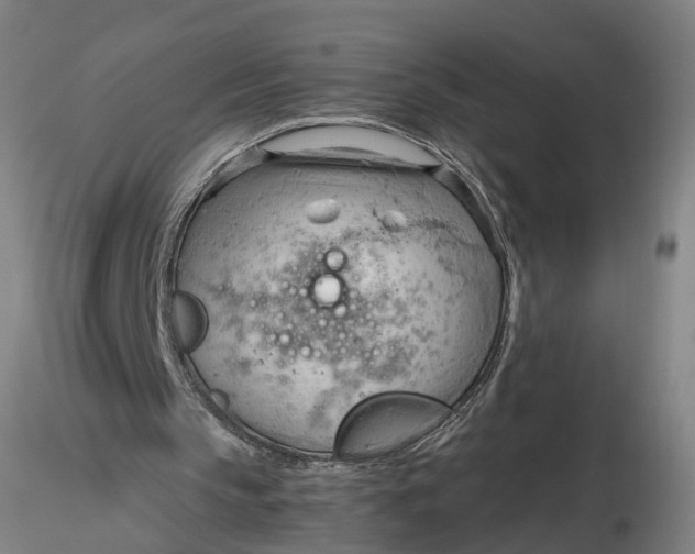 X0000116320145200912221406