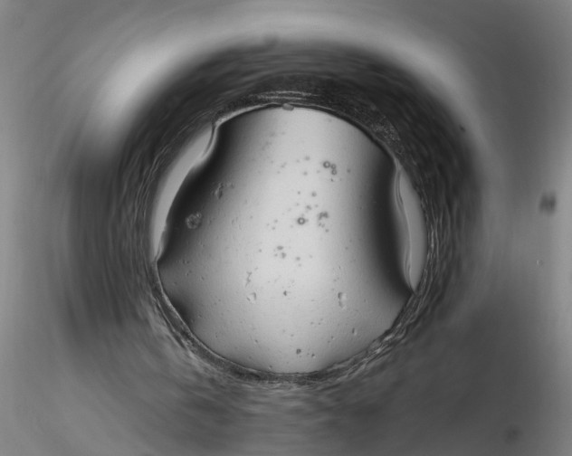 X0000116320146200912221406