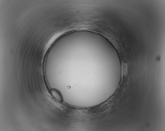 X0000116320147200912221406