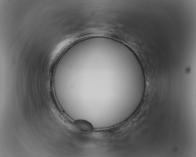 X0000116320149200912221406