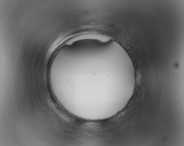 X0000116320150200912221406