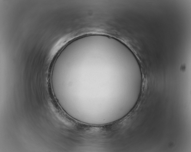 X0000116320151200912221406