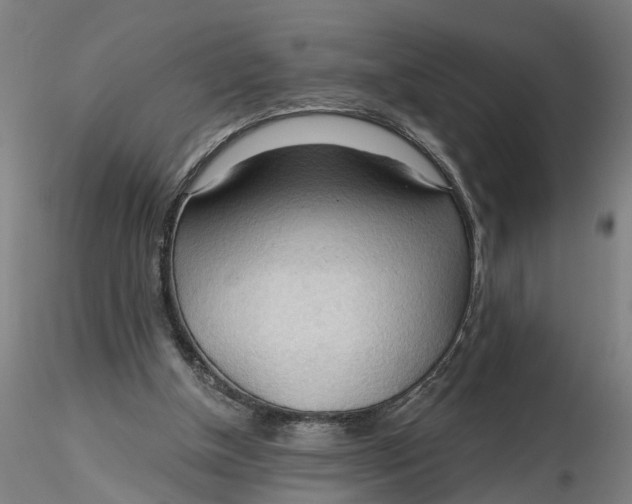 X0000116320154200912221406