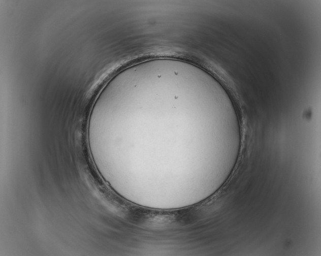 X0000116320155200912221406