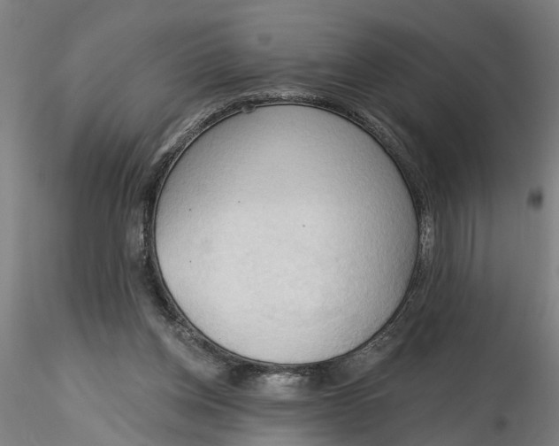 X0000116320158200912221406