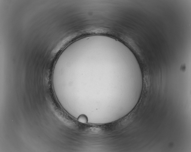 X0000116320159200912221406