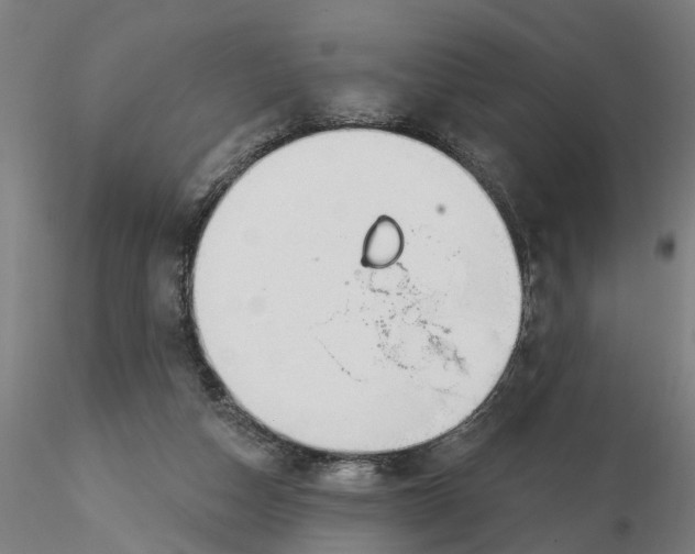 X0000116320162200912221406