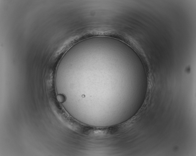 X0000116320163200912221406