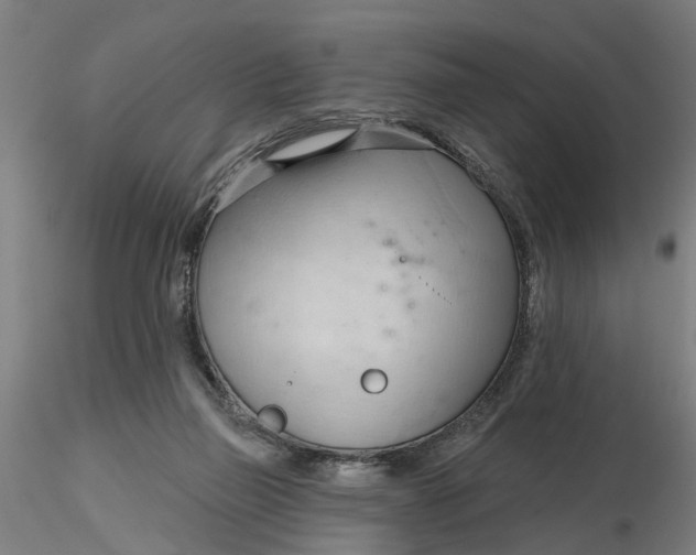 X0000116320165200912221406