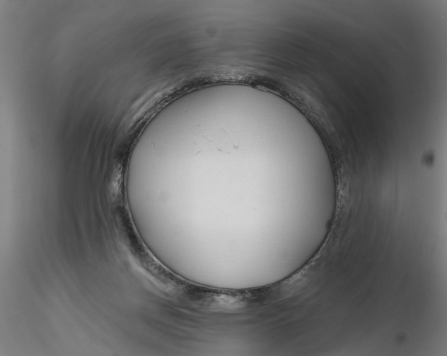 X0000116320166200912221406