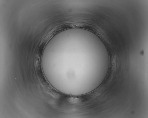 X0000116320169200912221406