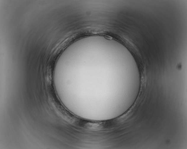 X0000116320170200912221406