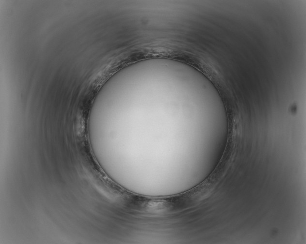 X0000116320173200912221406