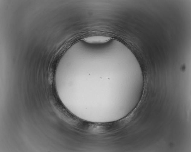 X0000116320174200912221406