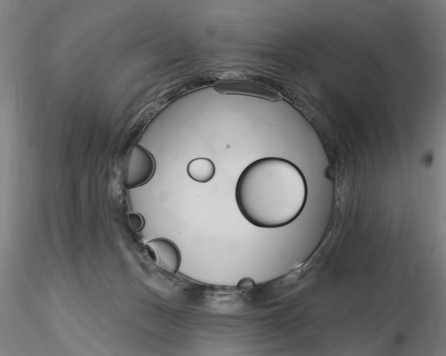 X0000116320175200912221406