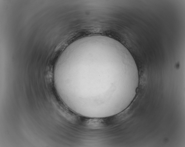 X0000116320179200912221406