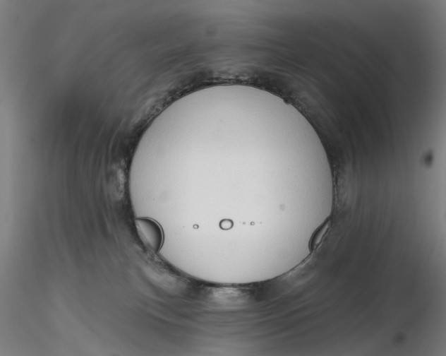 X0000116320183200912221406