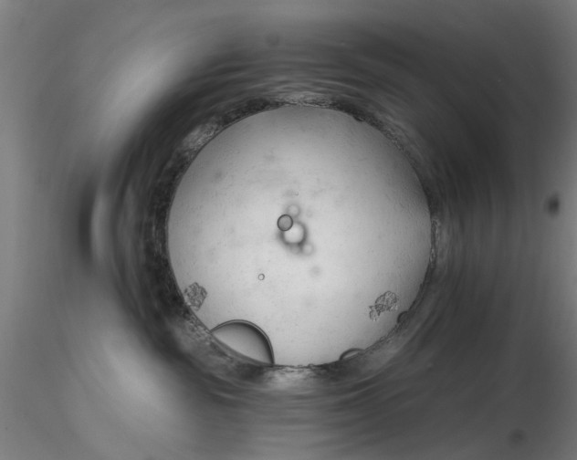 X0000116320189200912221406