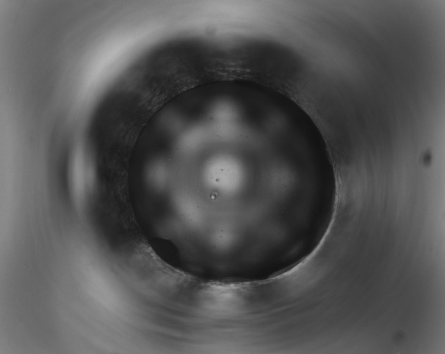 X0000116320190200912221406