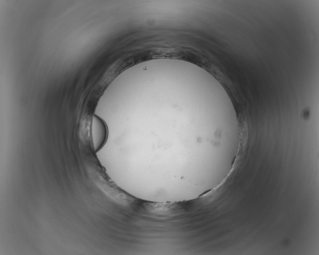 X0000116320191200912221407