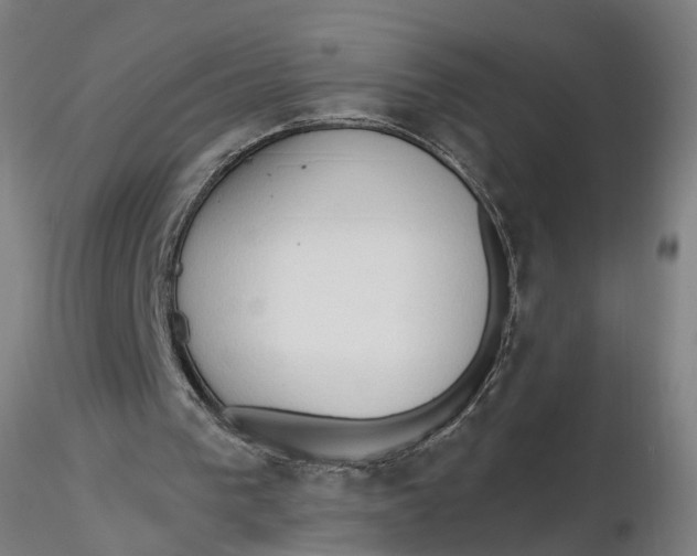 X0000116320193200912221406