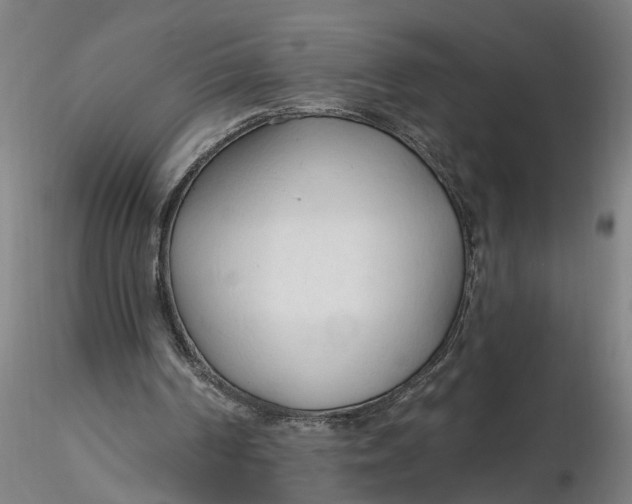 X0000116320194200912221406