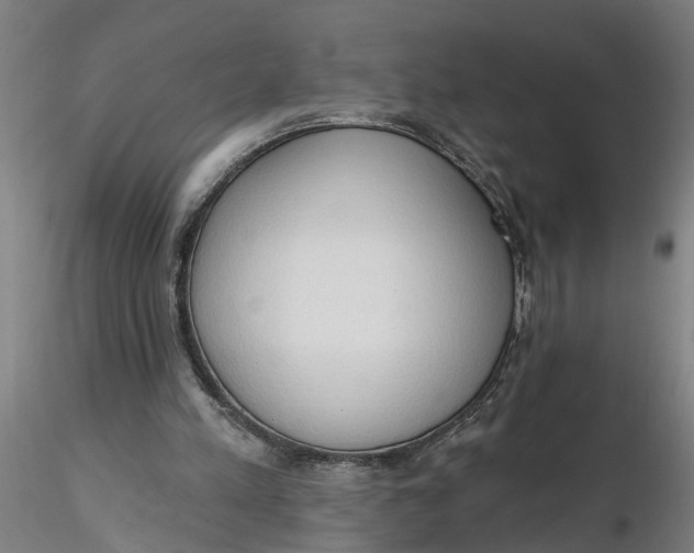 X0000116320197200912221406