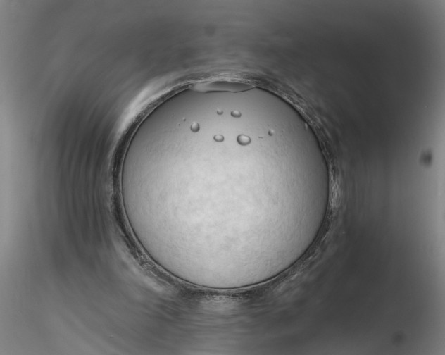 X0000116320198200912221406