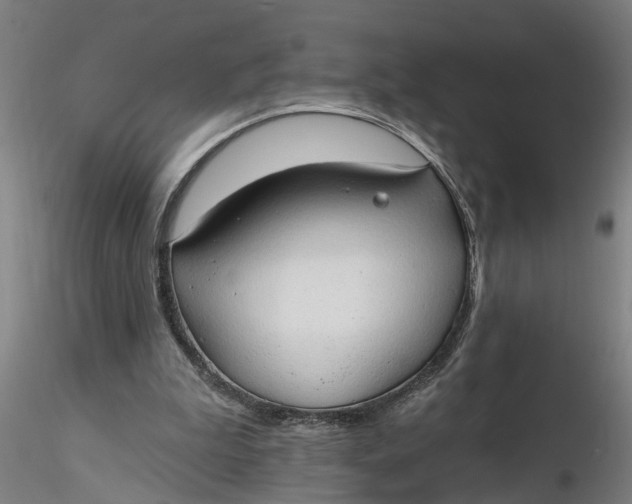 X0000116320199200912221406