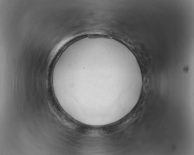 X0000116320200200912221406