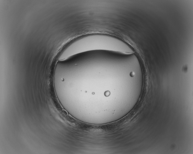 X0000116320203200912221406