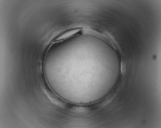 X0000116320205200912221406