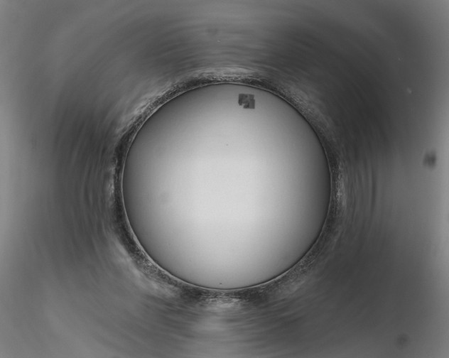 X0000116320206200912221406