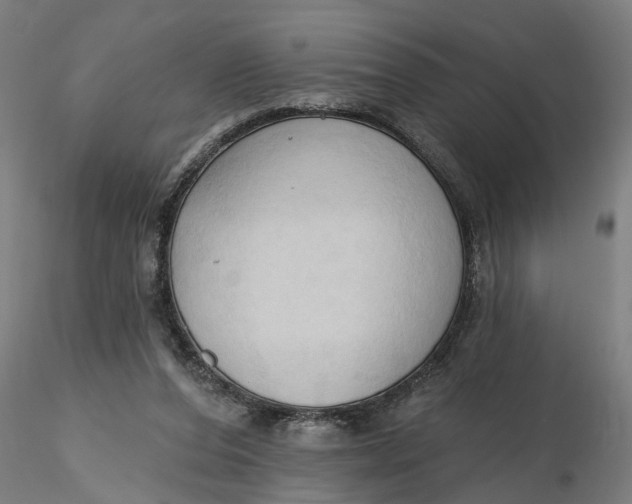 X0000116320208200912221406