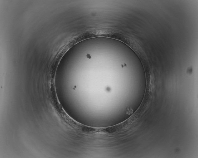 X0000116320210200912221406