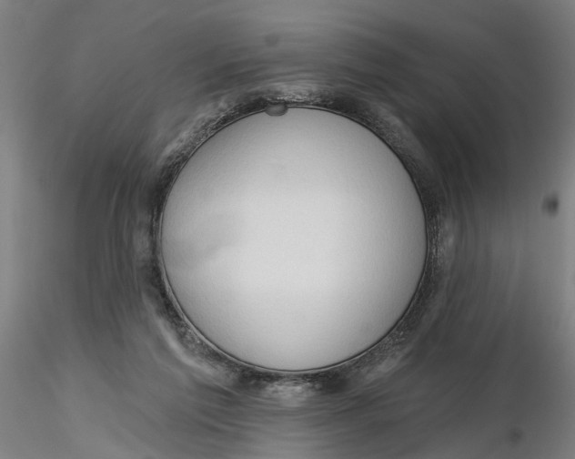 X0000116320213200912221406