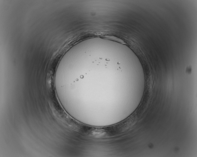 X0000116320214200912221406