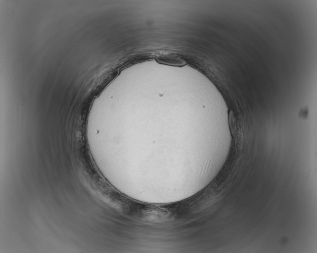 X0000116320215200912221406